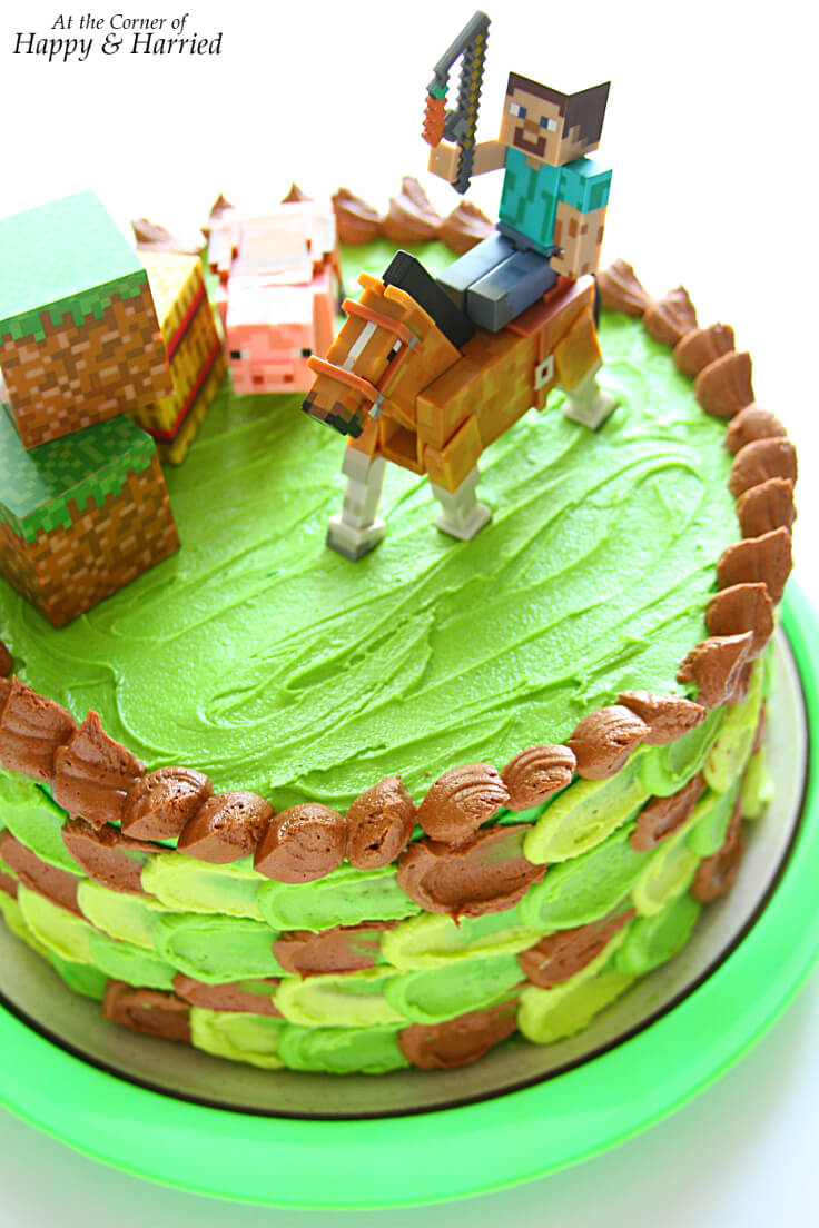 Minecraft Themed Birthday Cake